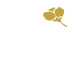 parth logo
